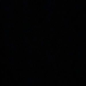 Meet your Posher, Lexi